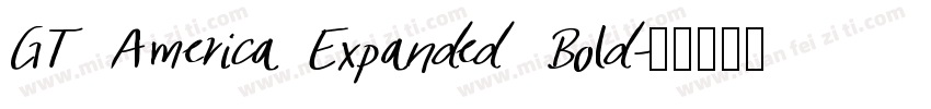 GT America Expanded Bold字体转换